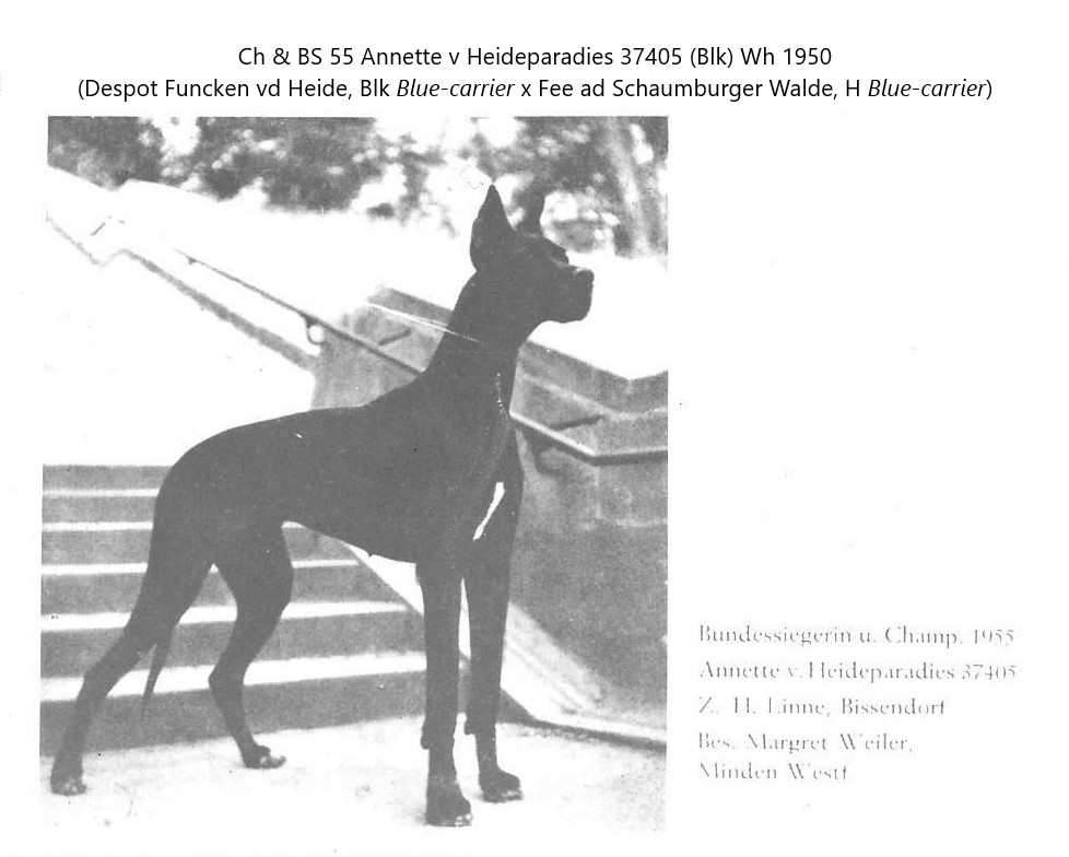 Annette v Heideparadies